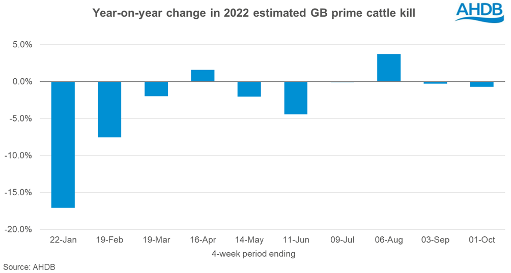 GB cattle prices remain supported through September AHDB